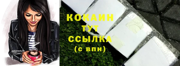ALPHA-PVP Новозыбков