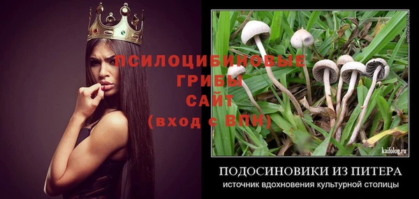 гидропоника Алзамай