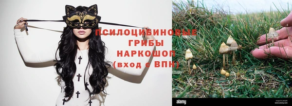 мескалин Алексеевка